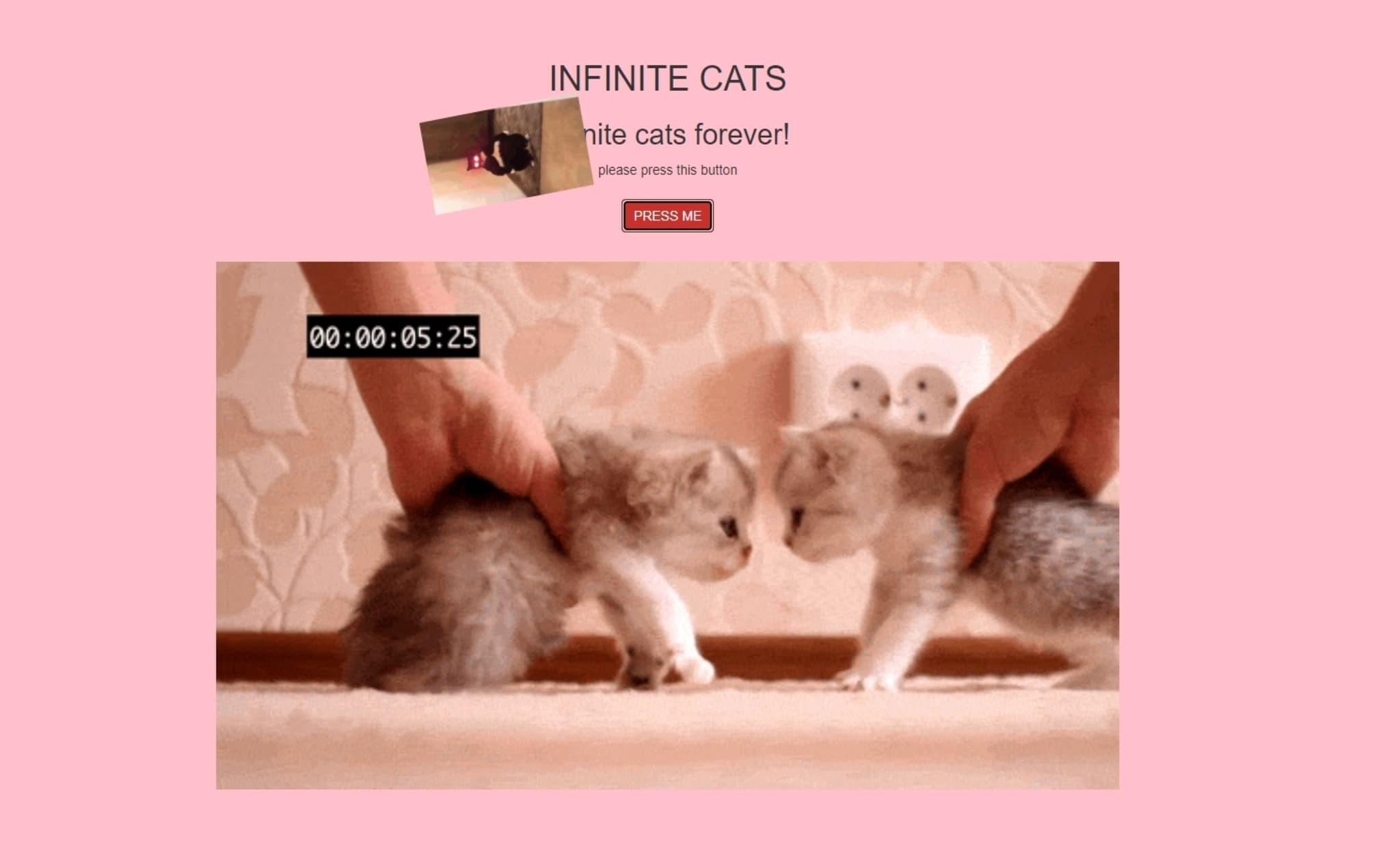 Infinite Cats